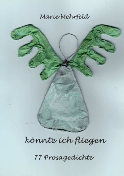 'Cover von könnte ich fliegen'-Cover
