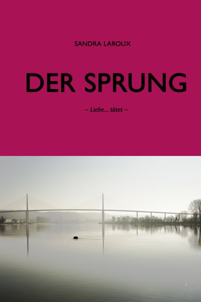 'Cover von Der Sprung'-Cover