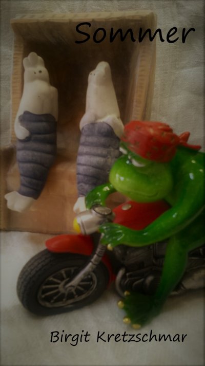 'Cover von Sommer'-Cover