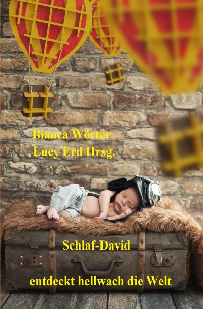 'Cover von Schlaf-David entdeckt hellwach die Welt'-Cover