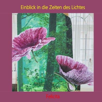 'Einblick in die Zeiten des Lichtes'-Cover