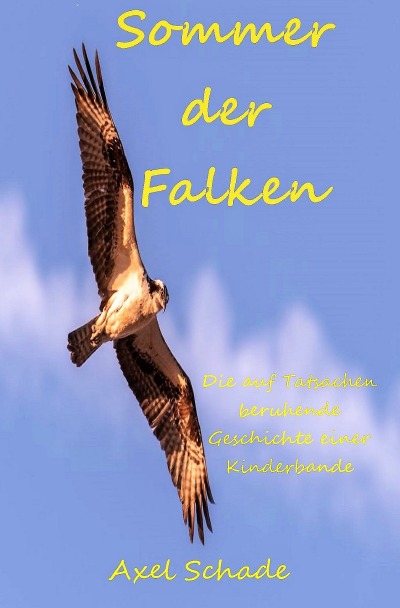 'Cover von Sommer der Falken'-Cover