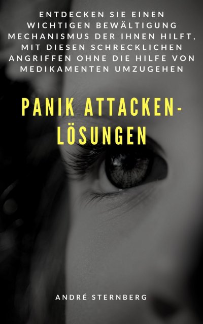 'Panik Attacken – Lösungen'-Cover