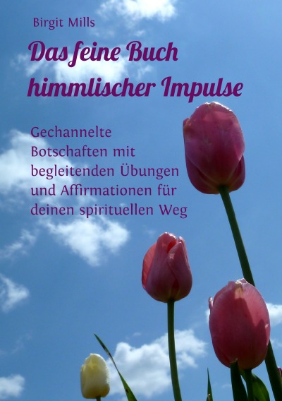'Cover von Das feine Buch himmlischer Impulse'-Cover