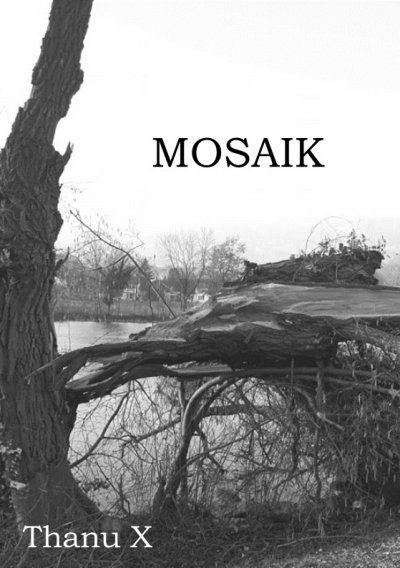 'Cover von Mosaik'-Cover