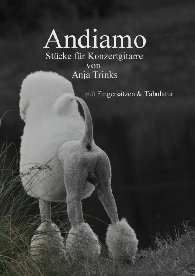 'Andiamo'-Cover