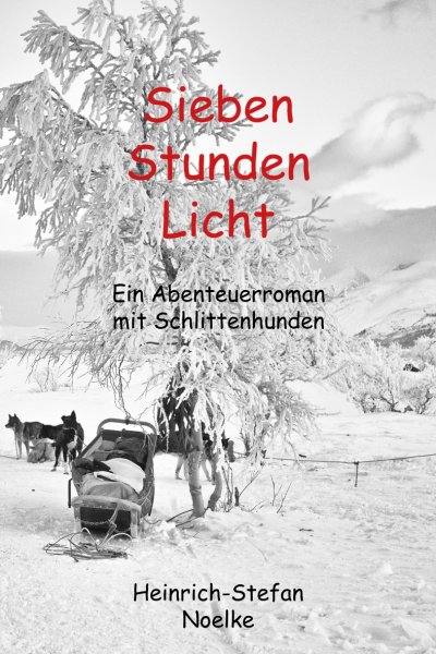 'Cover von Sieben Stunden Licht'-Cover