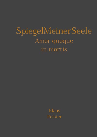 'Cover von SpiegelMeinerSeele'-Cover