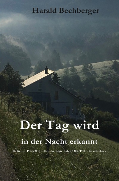 'Cover von Der Tag wird in der Nacht erkannt'-Cover