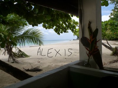 'Cover von Alexis'-Cover