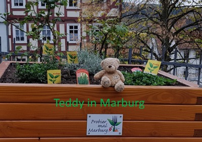 'Teddy in Marburg'-Cover
