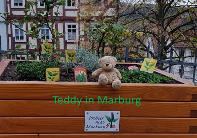 'Cover von Teddy in Marburg'-Cover