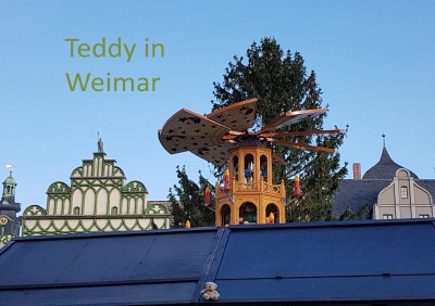 'Teddy in Weimar'-Cover