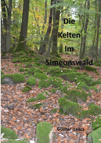 'Die Kelten im Simeonswald'-Cover
