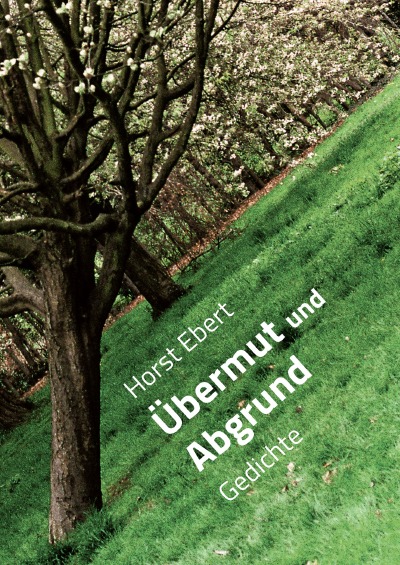 'Cover von Übermut und Abgrund'-Cover