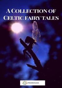 A Collection of Celtic Fairy Tales - Various Authors