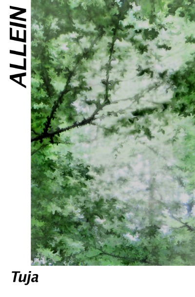 'Cover von Allein'-Cover
