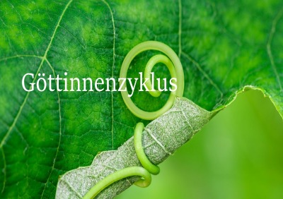 'Cover von Göttinnenzyklus'-Cover