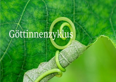 'Cover von Göttinnenzyklus'-Cover