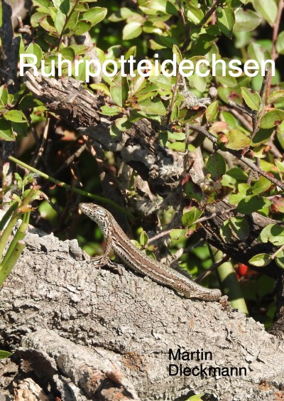 'Ruhrpotteidechsen'-Cover