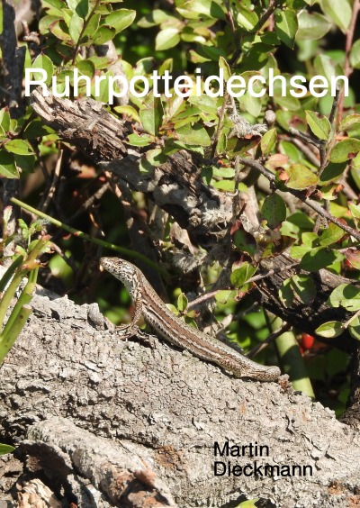 'Cover von Ruhrpotteidechsen'-Cover