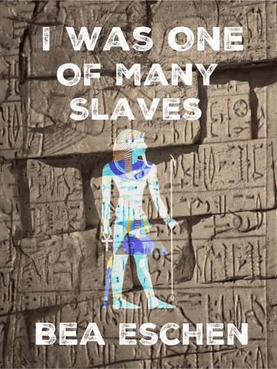'I Was One Of Many Slaves'-Cover
