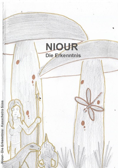 'Cover von Niour'-Cover