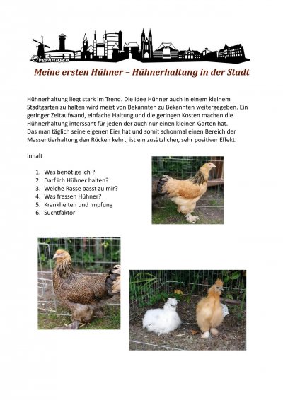 'Cover von Meine ersten Hühner'-Cover