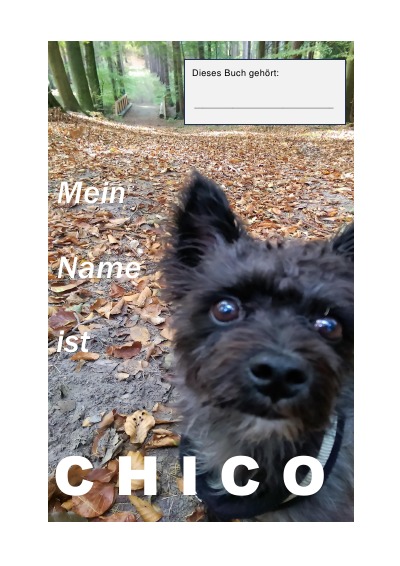 'Mein Name ist CHICO'-Cover
