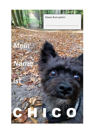 'Cover von Mein Name ist CHICO'-Cover