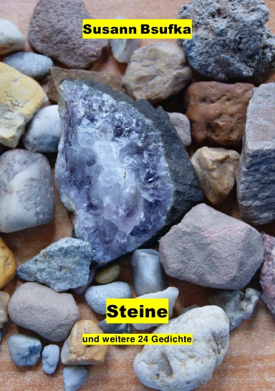 'Steine'-Cover