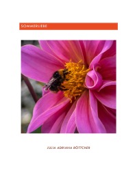 Sommerliebe - In diesem Buch geht es um Liebe, Freundschaft und Fotografie. - Julia Adriana Böttcher