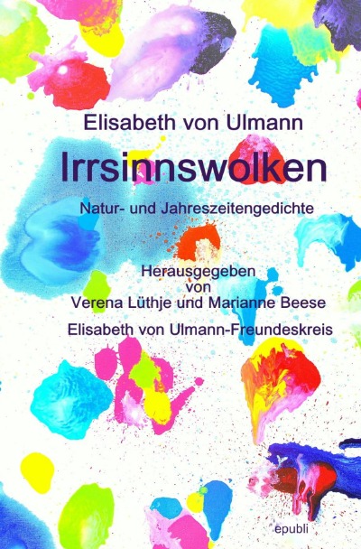 'Irrsinnswolken'-Cover