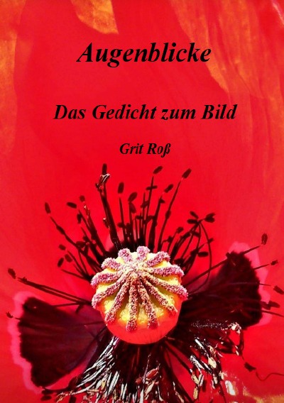 'Cover von Augenblicke – Das Gedicht zum Bild'-Cover