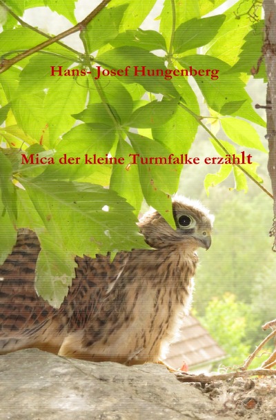 'Mica der kleine Turmfalke erzählt'-Cover