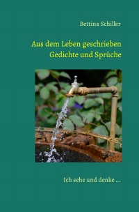 Aus dem Leben geschrieben - Gedichte und Sprüche - Ich sehe und denke ... - Bettina Schiller