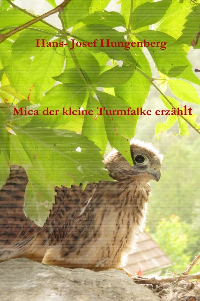 'Cover von Mica der kleine Turmfalke erzählt'-Cover