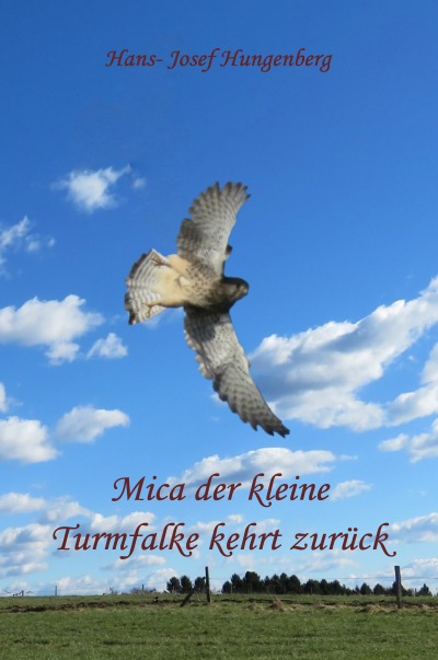 'Mica der kleine Turmfalke kehrt zurück'-Cover