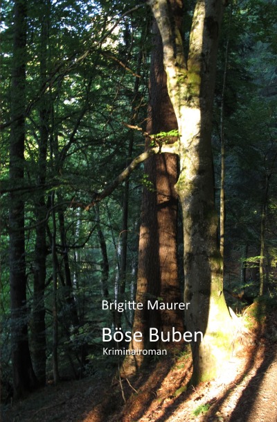 'Cover von Böse Buben'-Cover