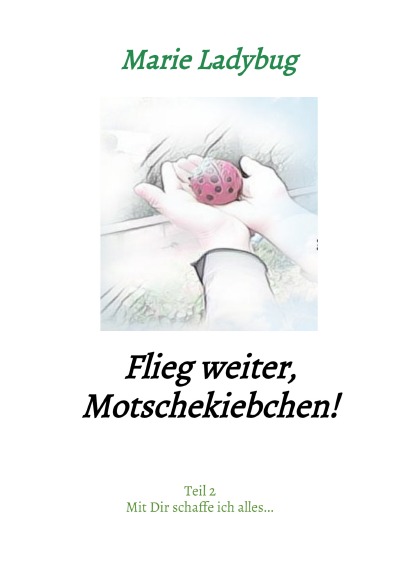 'Flieg weiter, Motschekiebchen!'-Cover