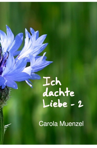 'Cover von Ich dachte Liebe – 2'-Cover