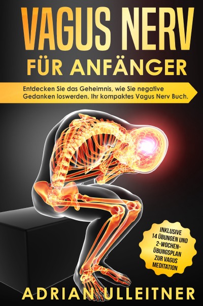 'Vagus Nerv für Anfänger'-Cover
