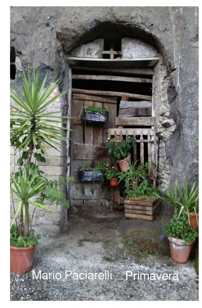 'Cover von Primavera'-Cover