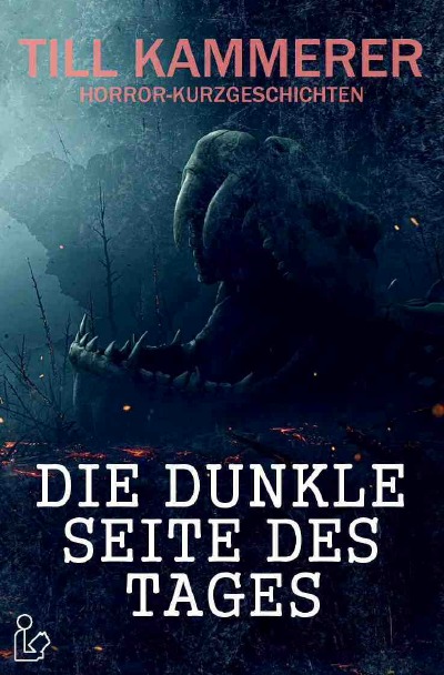 'DIE DUNKLE SEITE DES TAGES'-Cover