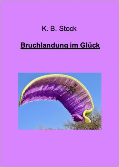'Cover von Bruchlandung im Glück'-Cover
