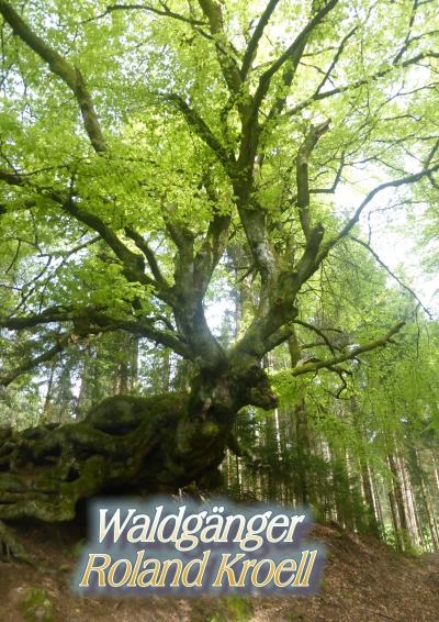 'Waldgänge'-Cover