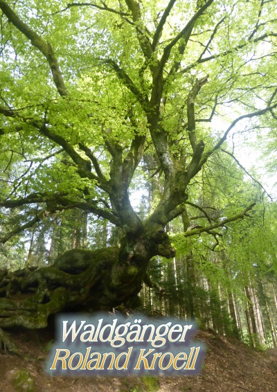 'Cover von Waldgänge'-Cover