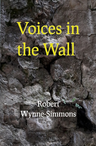 'Voices in the Wall'-Cover