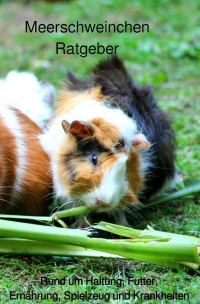 'Cover von Meerschweinchen Ratgeber.'-Cover