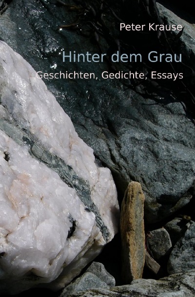 'Hinter dem Grau'-Cover